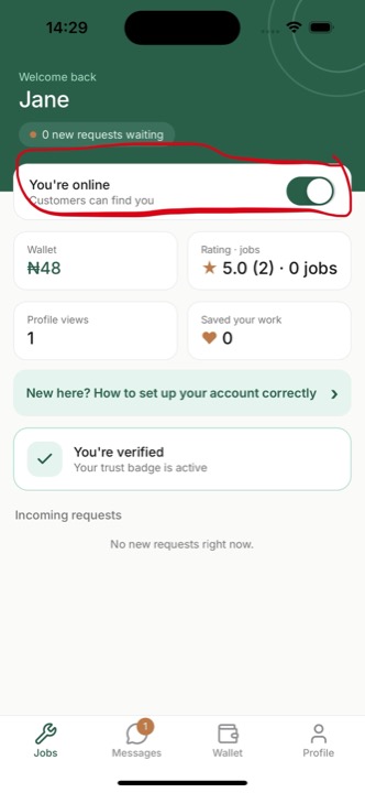 Turn on the You're online toggle